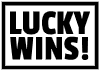 LuckyWins  Casino